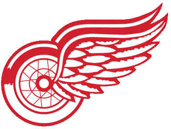 Detroit Red Wings 1973-1984 Alternate Logo iron on transfers for T-shirts